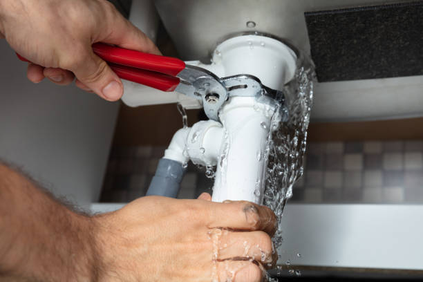 Best Professional water damage repair  in Demarest, NJ