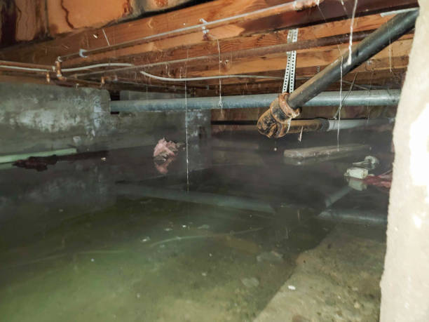 Best Fire Damage Restoration  in Demarest, NJ