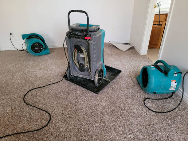 Best Basement water damage restoration  in Demarest, NJ