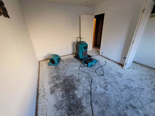 Best Mold removal after water damage  in Demarest, NJ