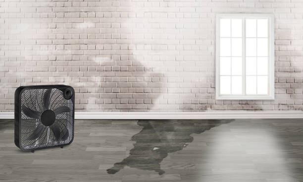 Best Residential water damage restoration  in Demarest, NJ