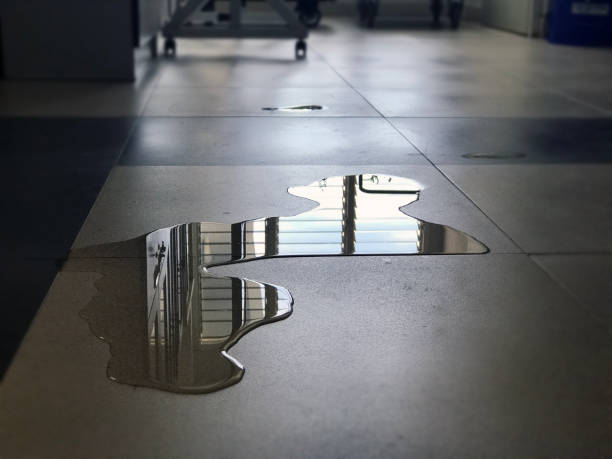 Best Water damage restoration company  in Demarest, NJ