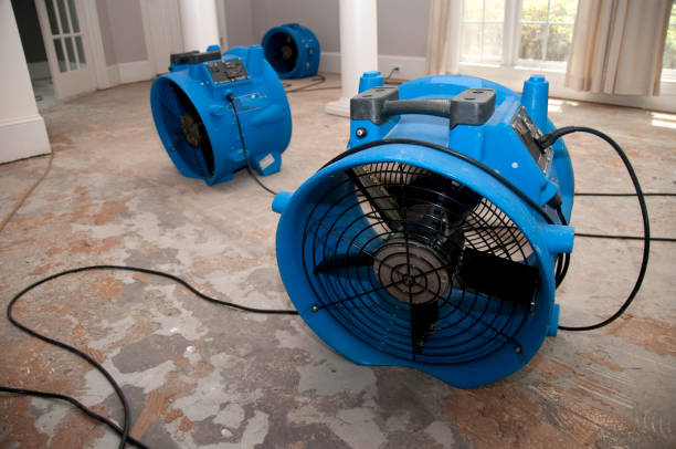 Best Ceiling water damage repair  in Demarest, NJ
