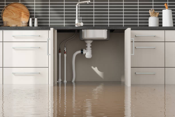 Professional Water damage restoration in Demarest, NJ
